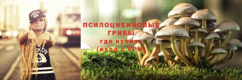 Псилоцибиновые грибы Psilocybe  МЕГА маркетплейс  Качканар 